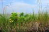 Ostfriesland 20 Ostfriesland 20