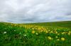 Ostfriesland 28 Ostfriesland 28