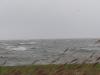 Sturm Nordsee (40)