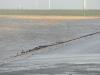 Sturm Nordsee (46) Sturm Nordsee (46)