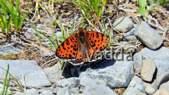 2017 Velebit DSCN4264