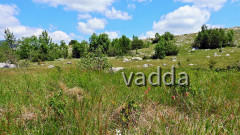 2017 Velebit DSCN4277