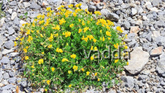 2017 Velebit DSCN4291