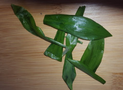 Bärlauch