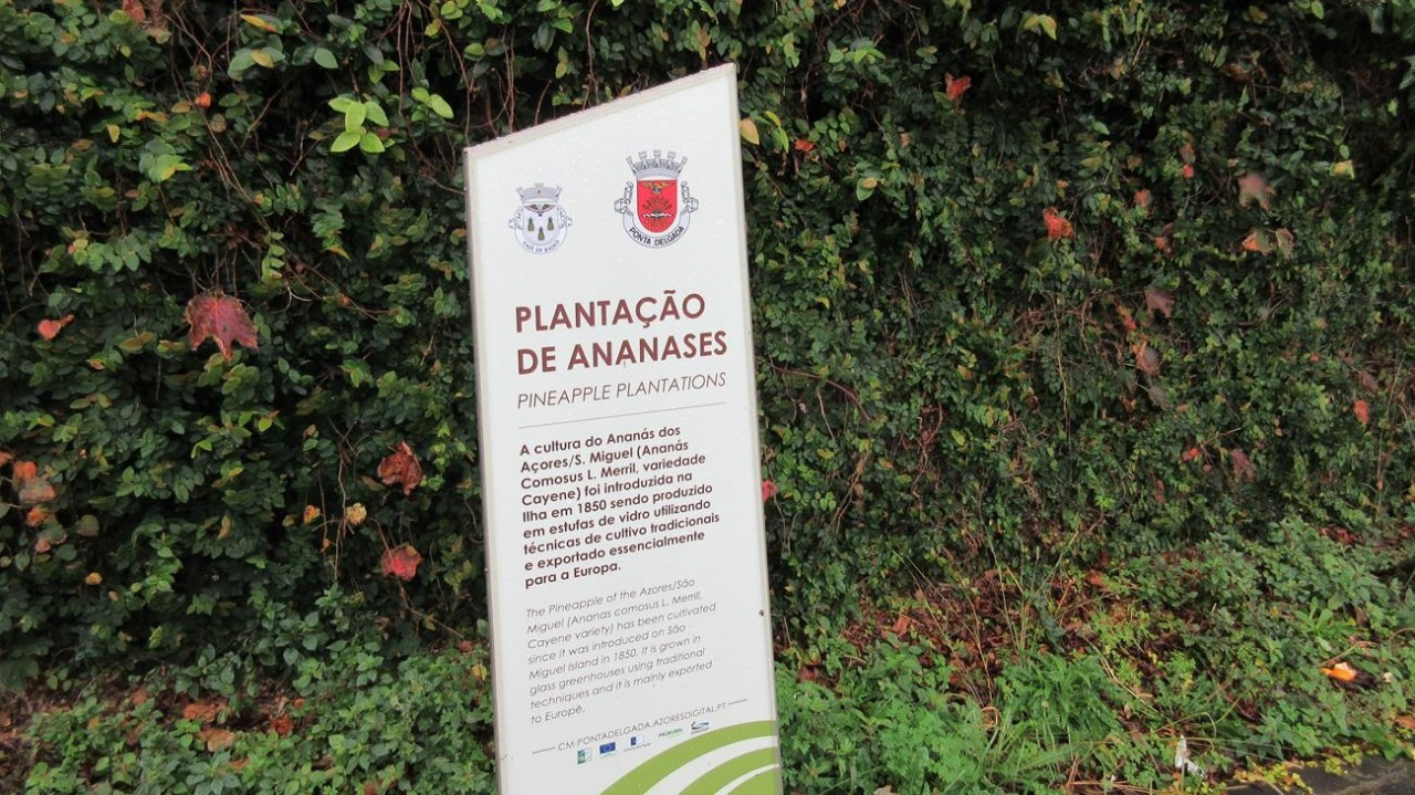 Sao Miguel_01