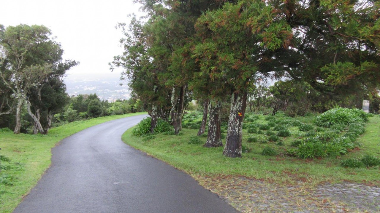 Terceira _01