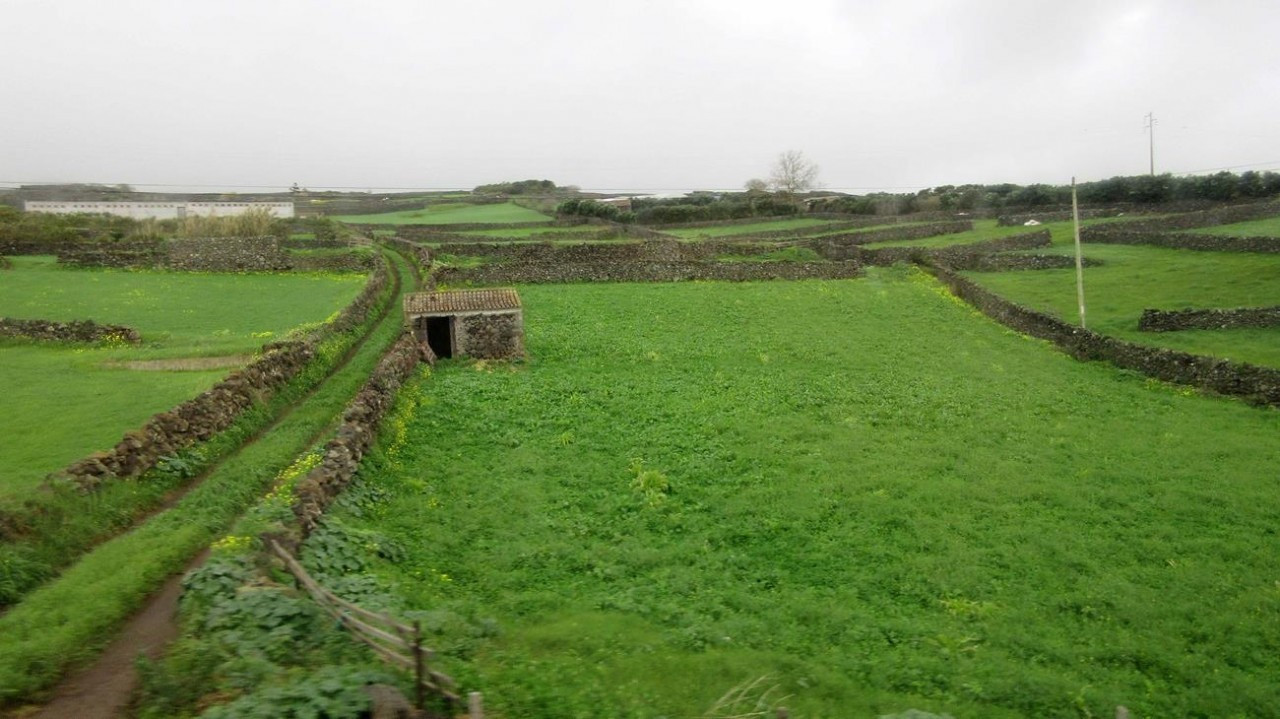 Terceira _43