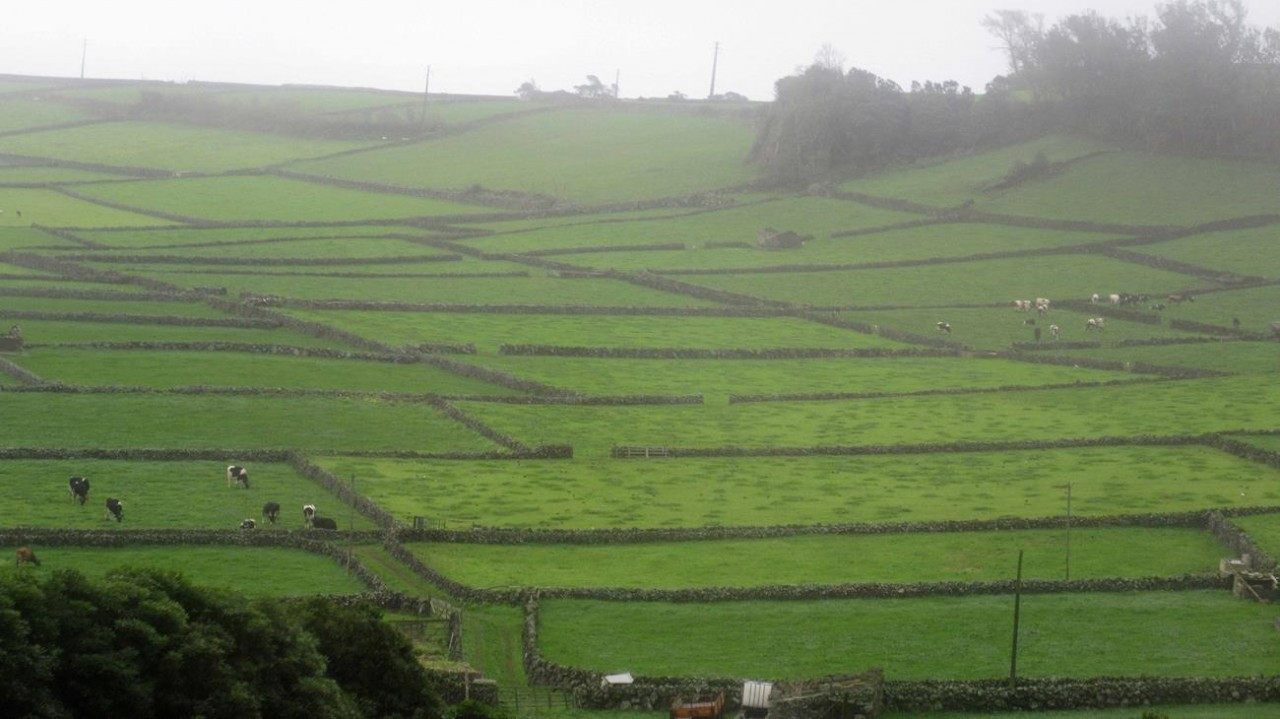 Terceira _48