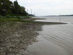 Elbe bei Schulau (2)