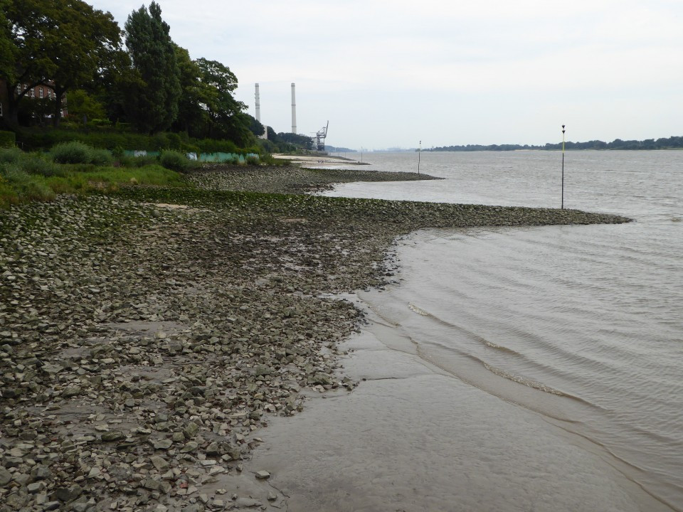 Elbe bei Schulau (2)