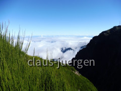 Pico do Arieiro