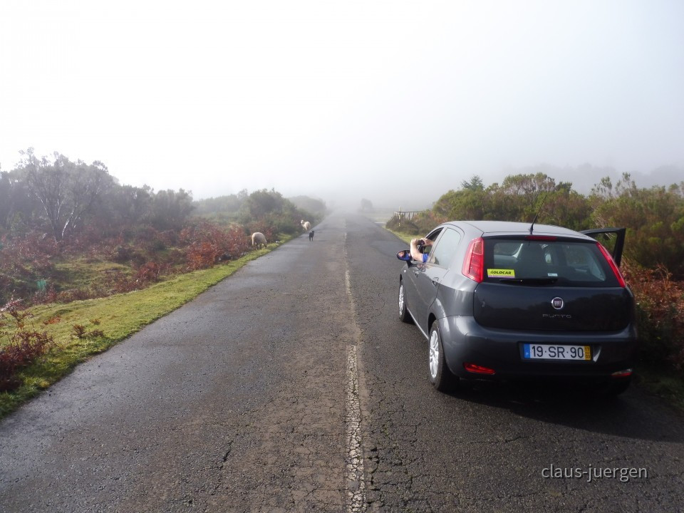 Pico do Arieiro
