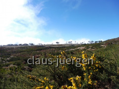 Pico do Arieiro