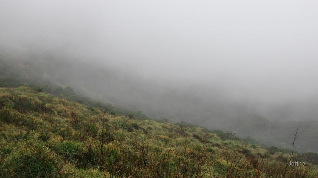 Faial_26
