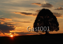 Sonnenuntergang am Irschenberg