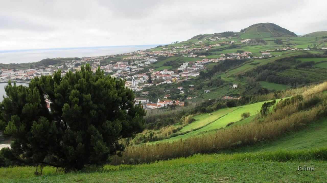 Faial_36