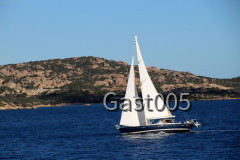 Windhorse