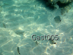 Unterwasser