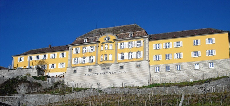 Droste-Hülsoff Gymnasium Meersburg