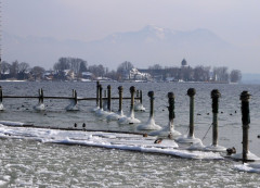 Chiemsee 1. März 2018 (3)