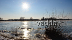 Elbe