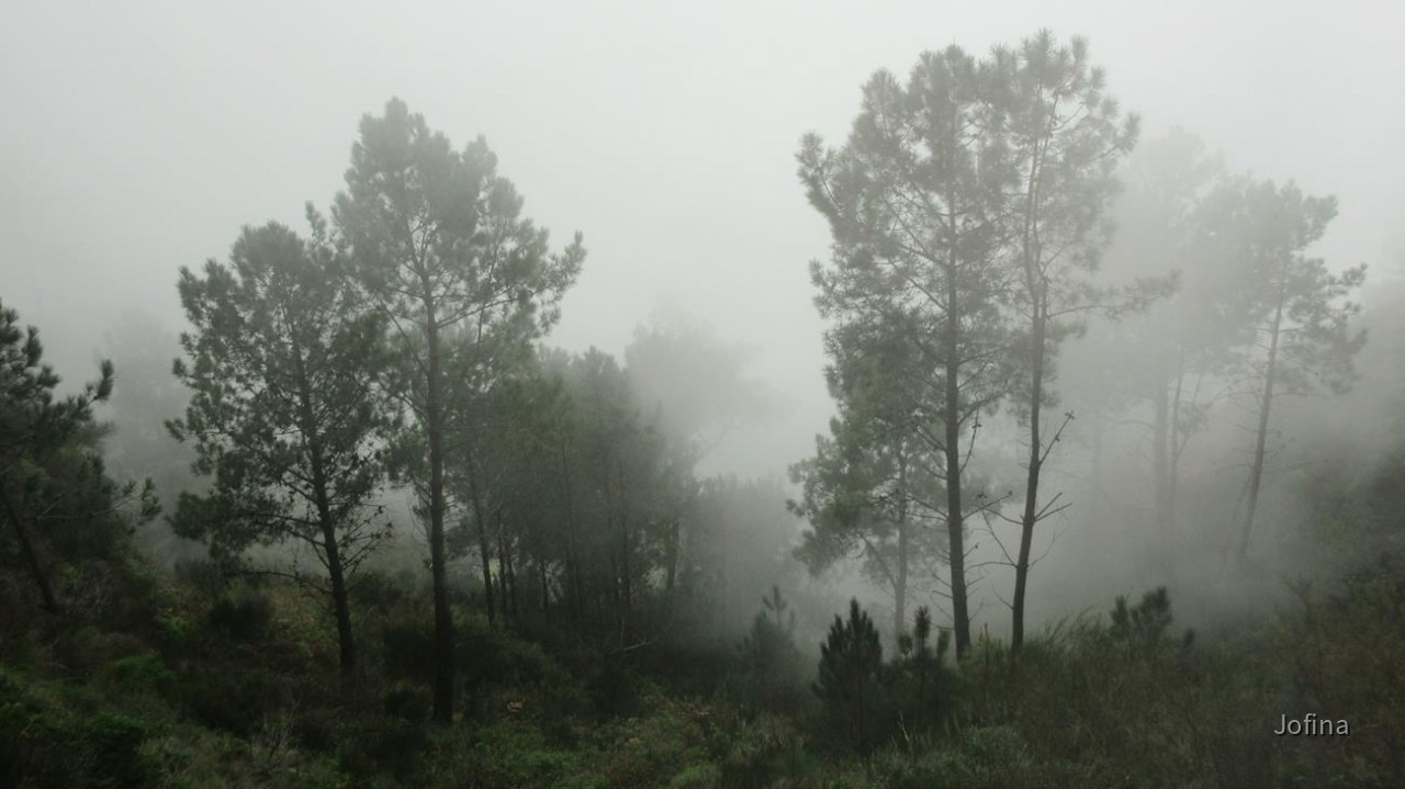 Madeira_Ausblick_09