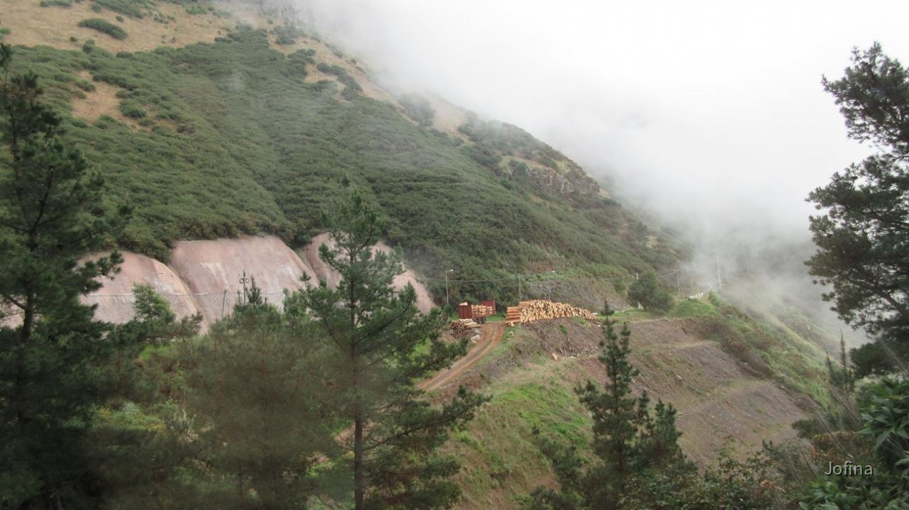 Madeira_Ausblick_10