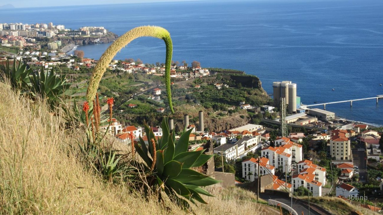 Madeira_Ausblick_22