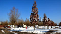 DSC_4523 Wintercamping