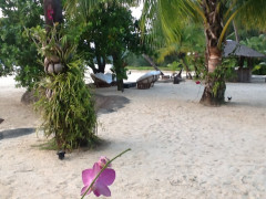 Strand Koh Chang