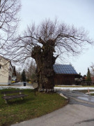 Schöneschach