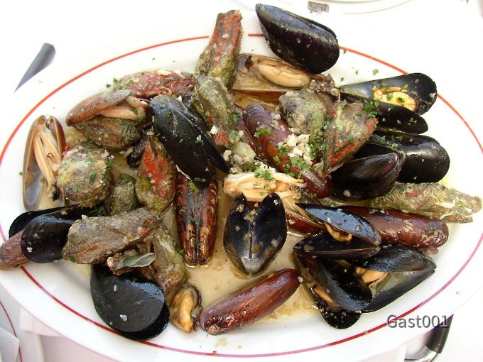 Miesmuscheln