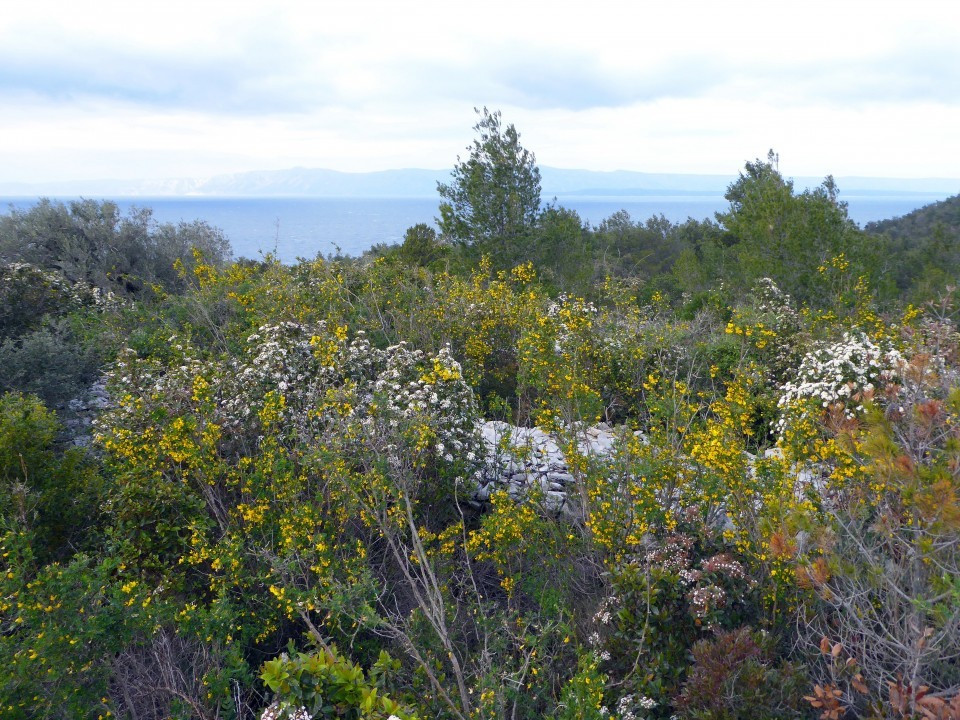 01aa Blick nach Hvar21.3.18 051