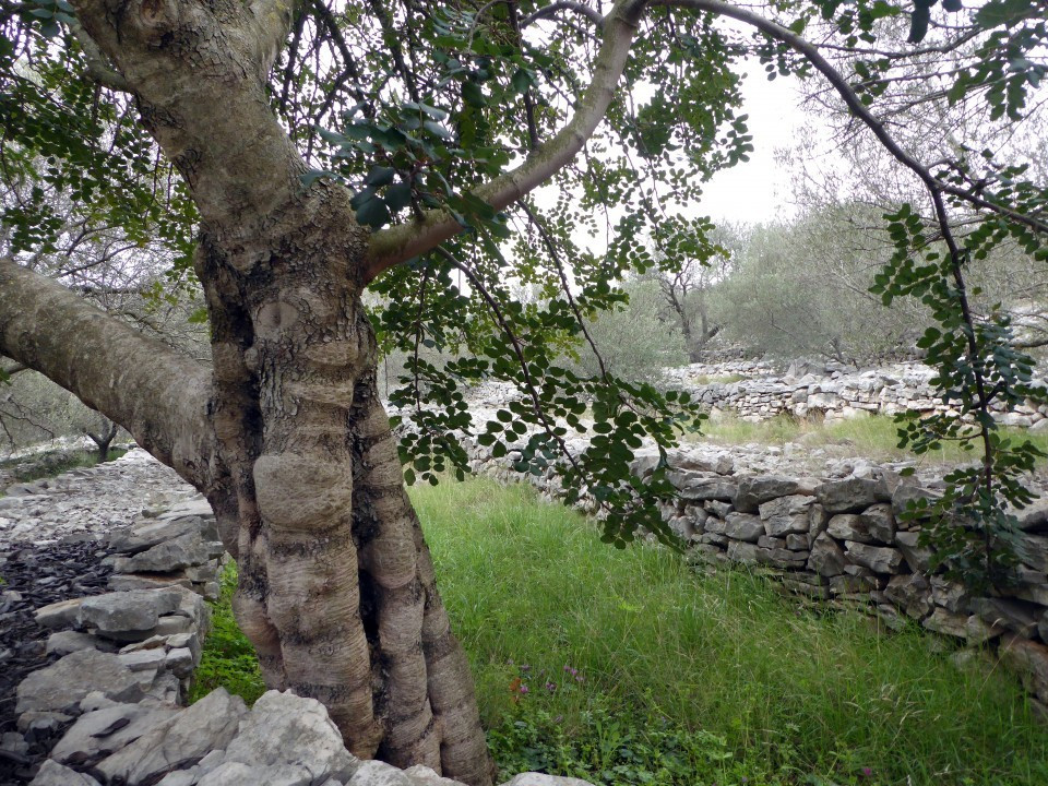 14P1020976b