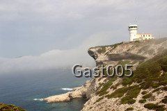 Bonifacio