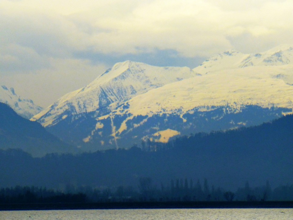 Lindau>Blick zu den Alpen