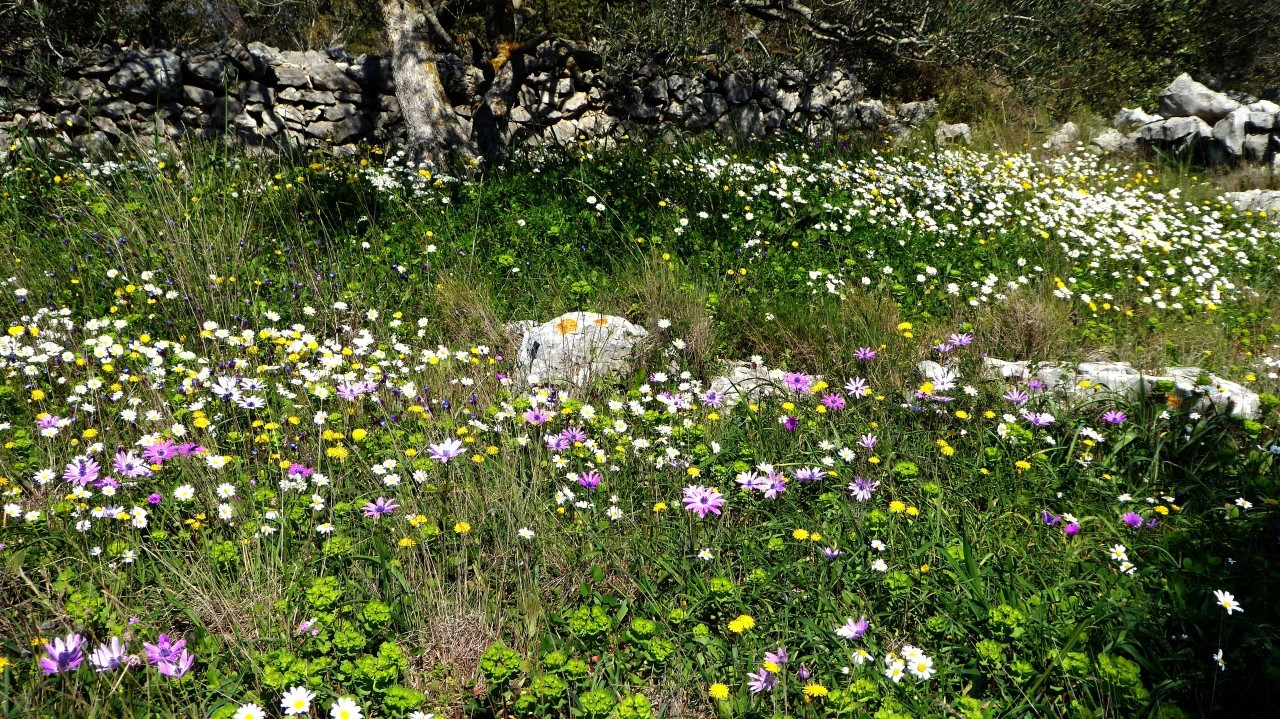 Frühlingstag März 18