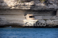 Bonifacio