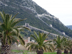 Palmen Mauer