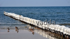 DSC_4484 Zingst