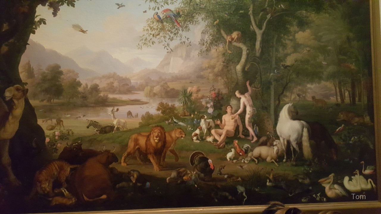 Paradies