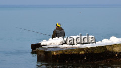 DSC_4618 Fischland
