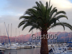 Calvi> Hafen