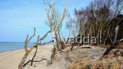DSC_4703 Westküste Darß