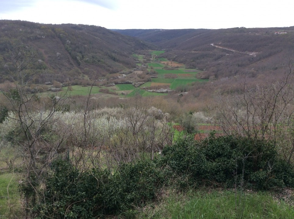 Kroatien Tinjan < Nepomuk