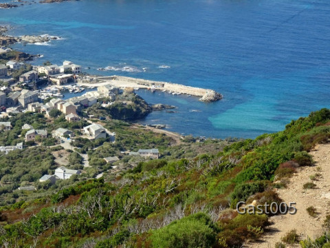 Centuri Port