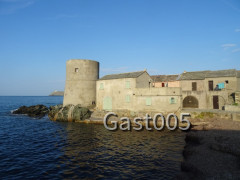 Cape Corse> Tolare