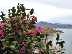 Cannero Ortsrundgang (12)