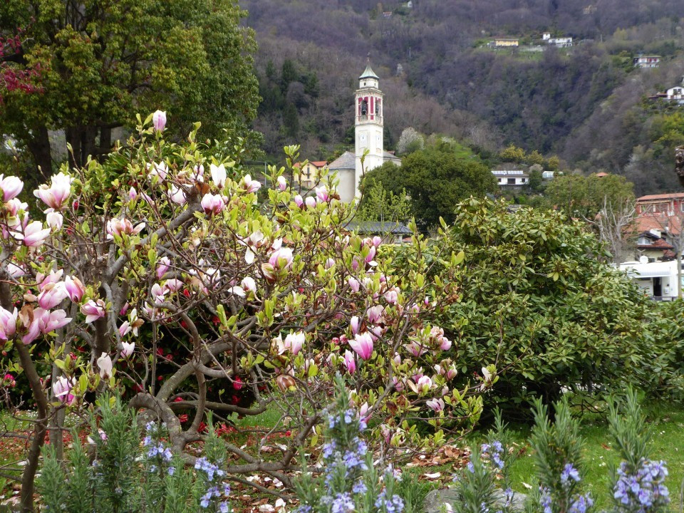 Cannero Ortsrundgang (5)