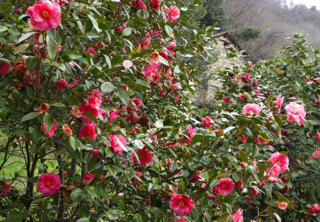 Weg nach Carmine (11)
